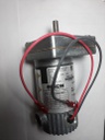 Gearmotor 102 RPM Output